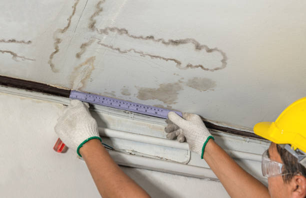 Reliable Basement Flooding contractor in Charlotte, NC by Local Water Damage Repair